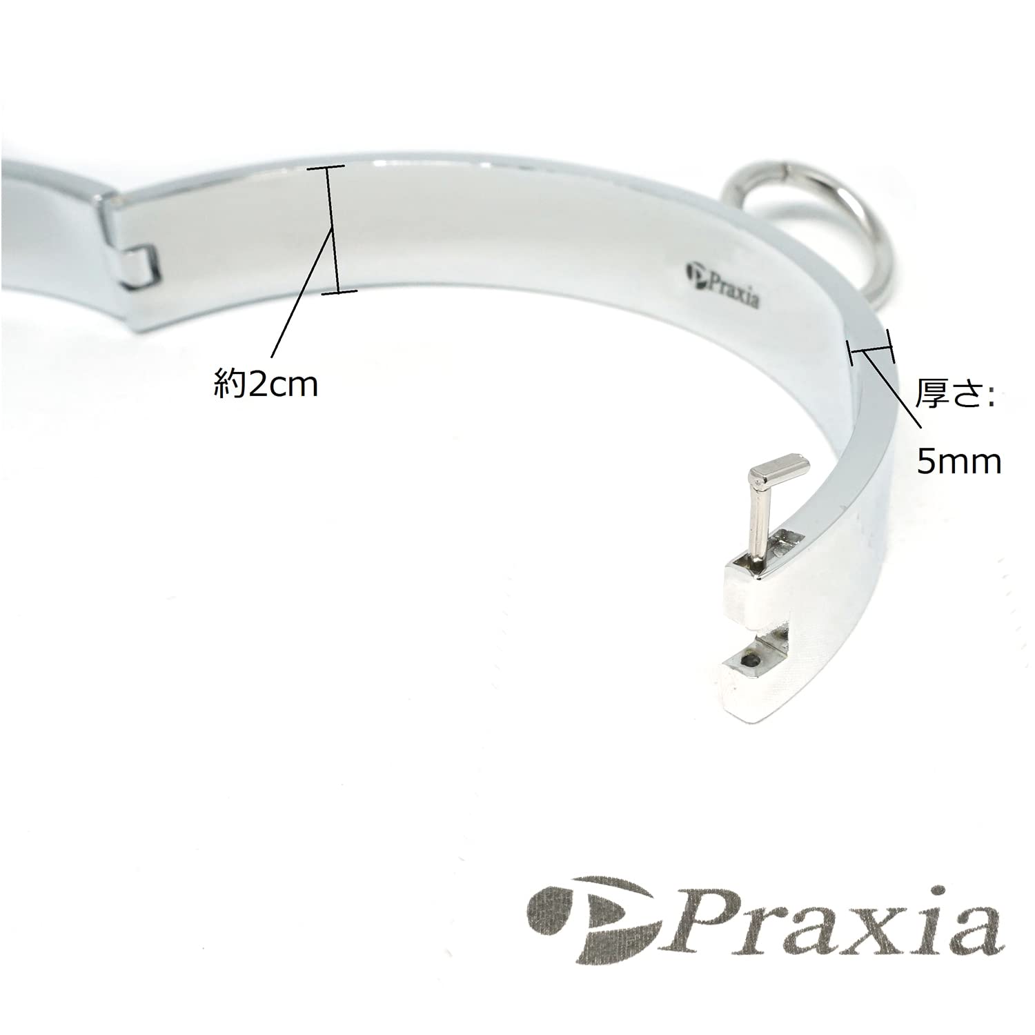 Amazon | [Praxia] 金属製 首輪 施錠 チョーカー M文字デザイン (女性